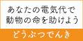 どうぶつでんき