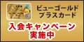ビューゴールドプラスカード