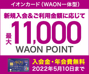 イオンカード Waon一体型 ショッピングで貯める ポイ活 お小遣い稼ぎをするならポイントサイトの エルネ イオンカード Waon一体型 ショッピングで貯める ポイ活 お小遣い稼ぎをするならポイントサイトの エルネ