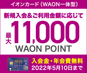 イオンカード(WAON一体型)【年会費無料】