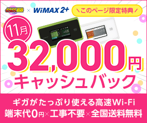GMOとくとくBB　WiMAX2+(キャッシュバック)