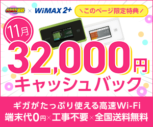 GMOとくとくBB WiMAX2+(キャッシュバック)