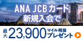 【高P】ANA JCBカード(ソラチカカード)