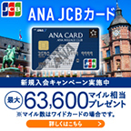 【高P】ANA JCBカード(ソラチカカード)