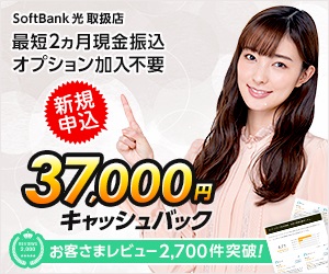ソフトバンク光(株式会社N'sカンパニー)