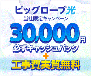 ビッグローブ光(株式会社NNコミュニケーションズ)