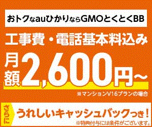 GMOとくとくBB auひかり(月額割引)