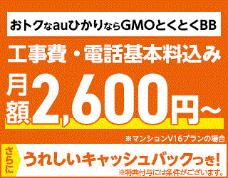 GMOとくとくBB auひかり(月額割引)