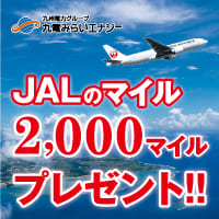 九電みらいエナジー【JAL マイルプラン】