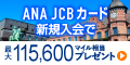 ANA JCBカード(ゴールドカード)