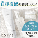 【KOIVE（コイヴ）】ミネラルたっぷり！白樺樹液の化粧品