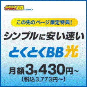 GMOとくとくBB 光アクセス