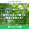 シナネンあかりの森でんき