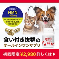 高品質NMNペットサプリ！【agene（エイジーン）】商品モニター