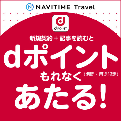 【初回31日間無料】NAVITIME Travel（dバリューパス）